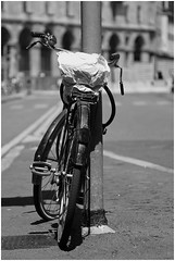Bicicletta solitaria